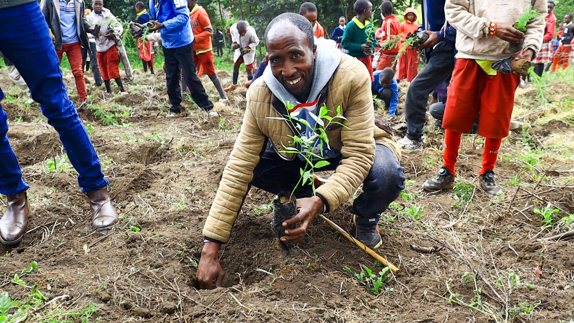 Community tree planting